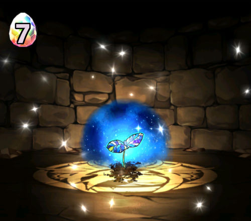 みずのんの星を紡ぐ精霊フェス６回目　アジサイ