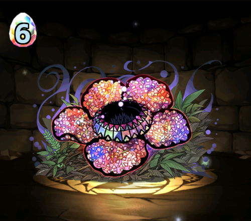 のっちの星を紡ぐ精霊フェス９回目　ラフレシア