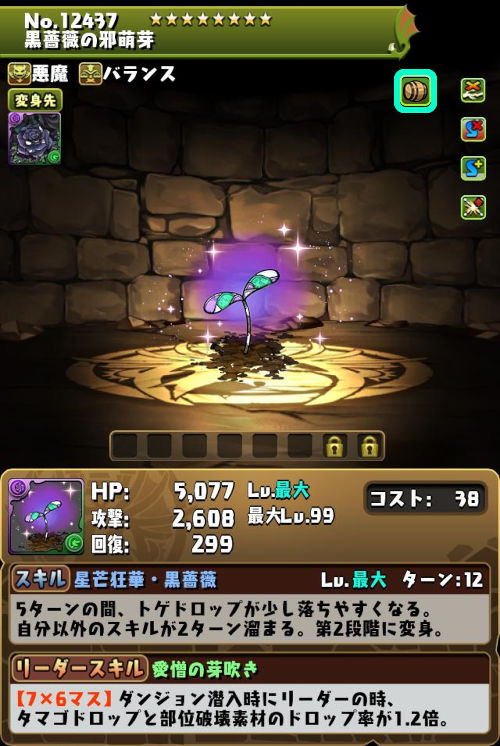 黒薔薇の邪萌芽のステータス画面