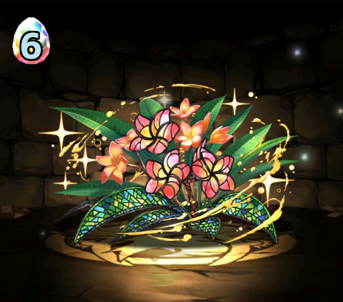 のっちの星を紡ぐ精霊ガチャ　プルメリア