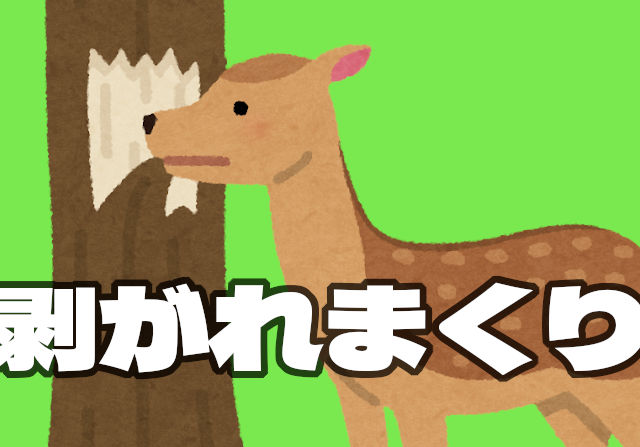 【パズドラ】共感の嵐！久々使おうと思ったパーティがアシスト剥がれまくりで使う気失せる